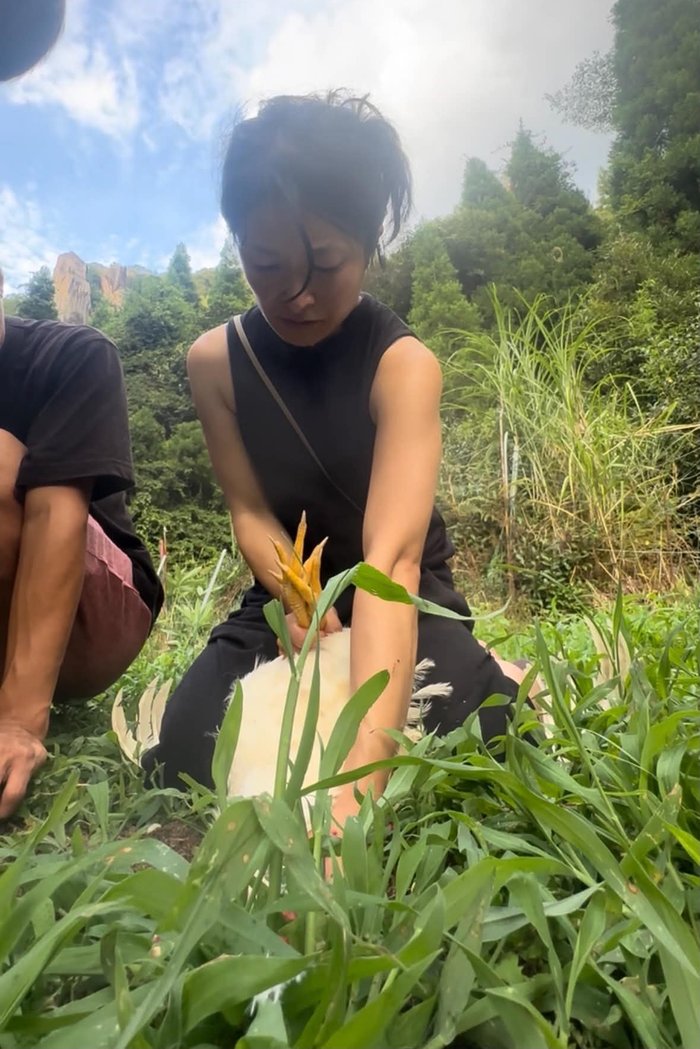 畑で白い鶏を抱く女性